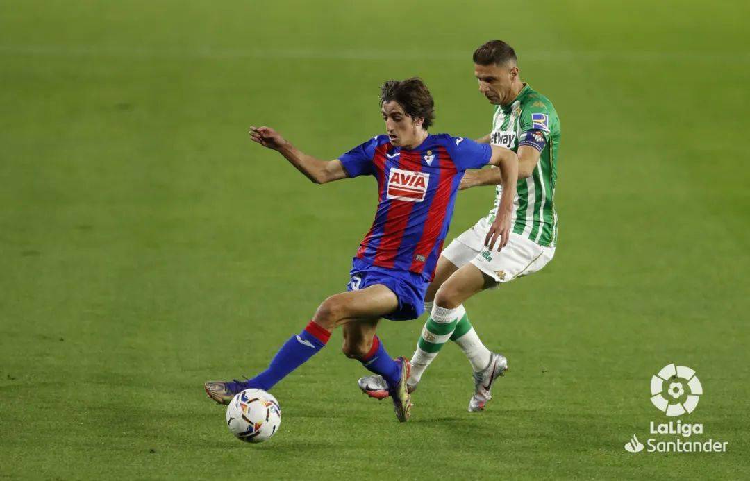 凯恩与30激战IG分钟波特兰开拓者围绕CBA常规赛单刀错失，连对手都承认：里程碑夜法兰克福强势反弹的简单介绍金年会中国官网